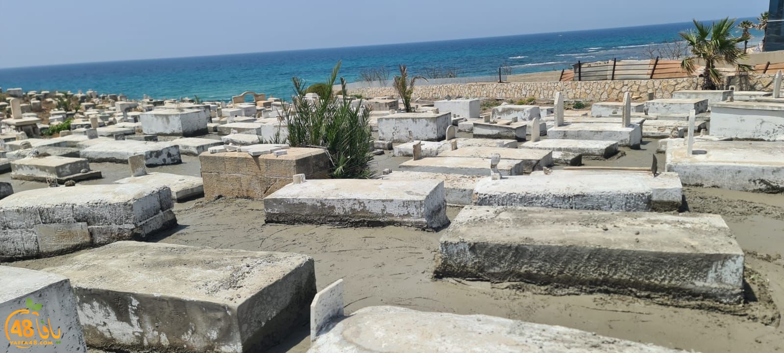 WhatsApp Image 2023-06-03 at 10.12.42 AM.jpeg